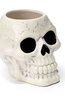 ΚΡΑΝΙΟ ΔΟΧΕΙΟ