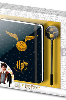 Harry Potter Wings set diary + pen