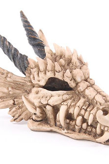 ΚΡΑΝΙΟ ΔΡΑΚΟΥ