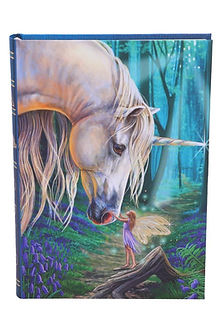 Fairy Whispers Journal (LP) 17cm