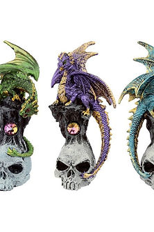 ΔΡΑΚΑΚΙ ΠΑΝΩ ΣΕ ΚΡΑΝΙΟ