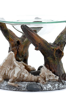 ΒΑΣΗ ΚΕΡΙΟΥ ΔΡΑΚΟΣΚΕΛΕΤΟΣ