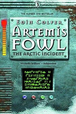 ARTEMIS FOWL THE ARCTIC INCIDENT  EOIN COLFER