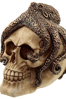 ΚΡΑΝΙΟ ΧΤΑΠΟΔΙ