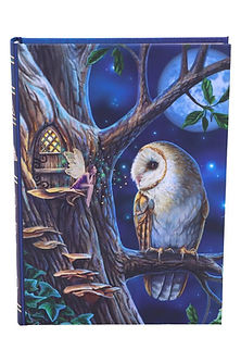 Fairy Tales Journal (LP) 17cm