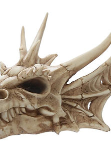 Dragon Skull Decoration
