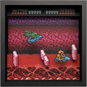Pixel Frames Battletoads Turbo Tunnel