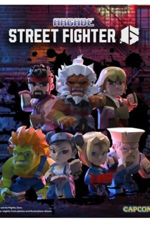 Arcade Capcom Street Fighter Series 4 inch Vinyl Figure Blind Box Display 6